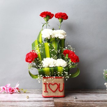 Carnations Arrangement